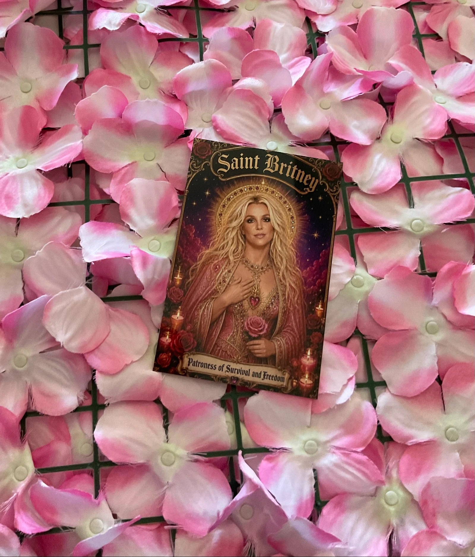 Postal Britney – photo 5